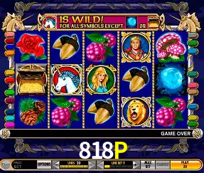 Explore as vantagens do 818P: serviço profissional e confiabilidade